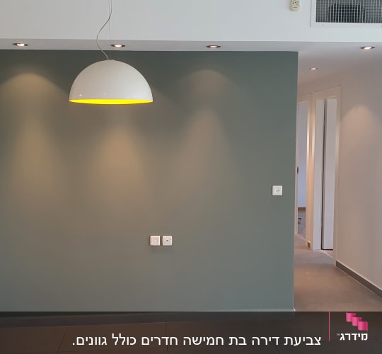קיר צבוע בירוק כהה עם תאורה עליונה